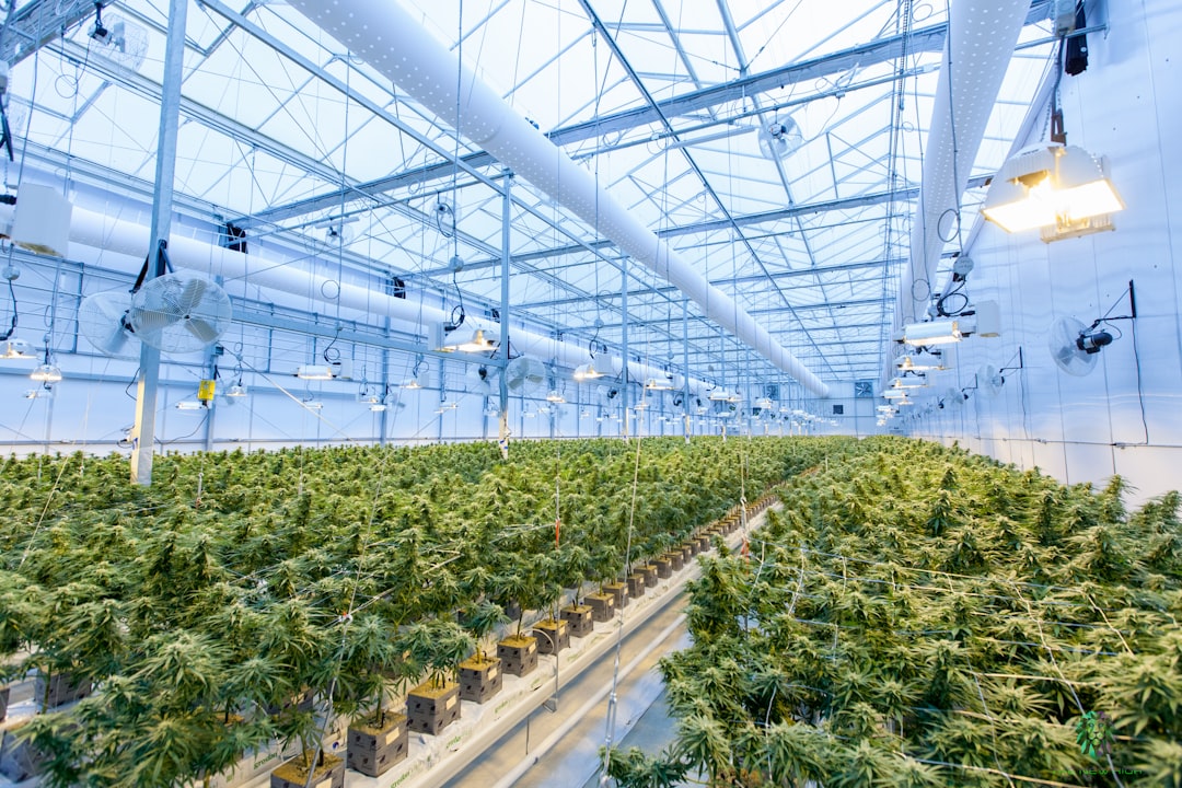 Cannabis Packaging in California: BCC Compliance, Child-Resistance, and Print Spec for CPG Buyers