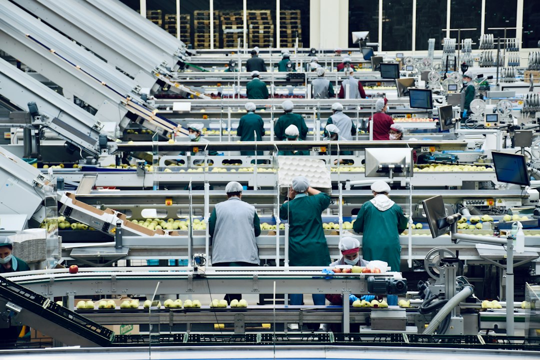 Transitioning from Seasonal Temp Workers to a Permanent Line: Standardizing the 3 Most Complex Box Setups